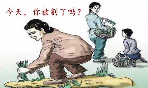 舒鑫欢:听说黄金暴跌你又被韭菜，多单怎么办早听我的会这样？