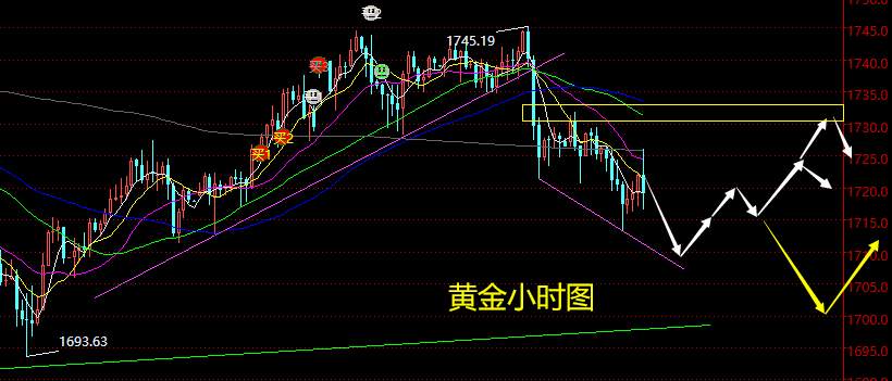 老黑策略：6.3晚盘外汇、黄金分析策略
