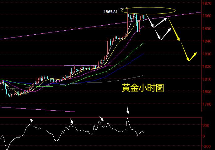 老黑策略：7.22晚盘外汇、黄金、原油分析策略