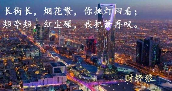 财经狼:2020年为什么坚持让大家逢低买入?