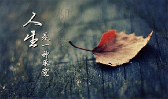 柳艺凌：别犹豫，黄金回撤1800直接做多起飞！