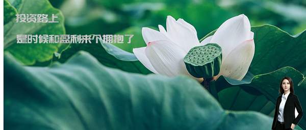 梦轩：捡钱行情总追涨杀跌？非农炒黄金这样判断入场点位包赚20点