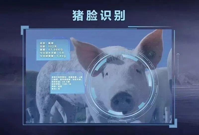 京东数科toB之路：干苦活累活，成数字科技超级独角兽