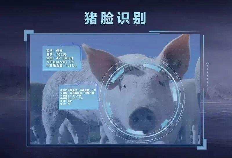 京东数科toB之路：干苦活累活，成数字科技超级独角兽