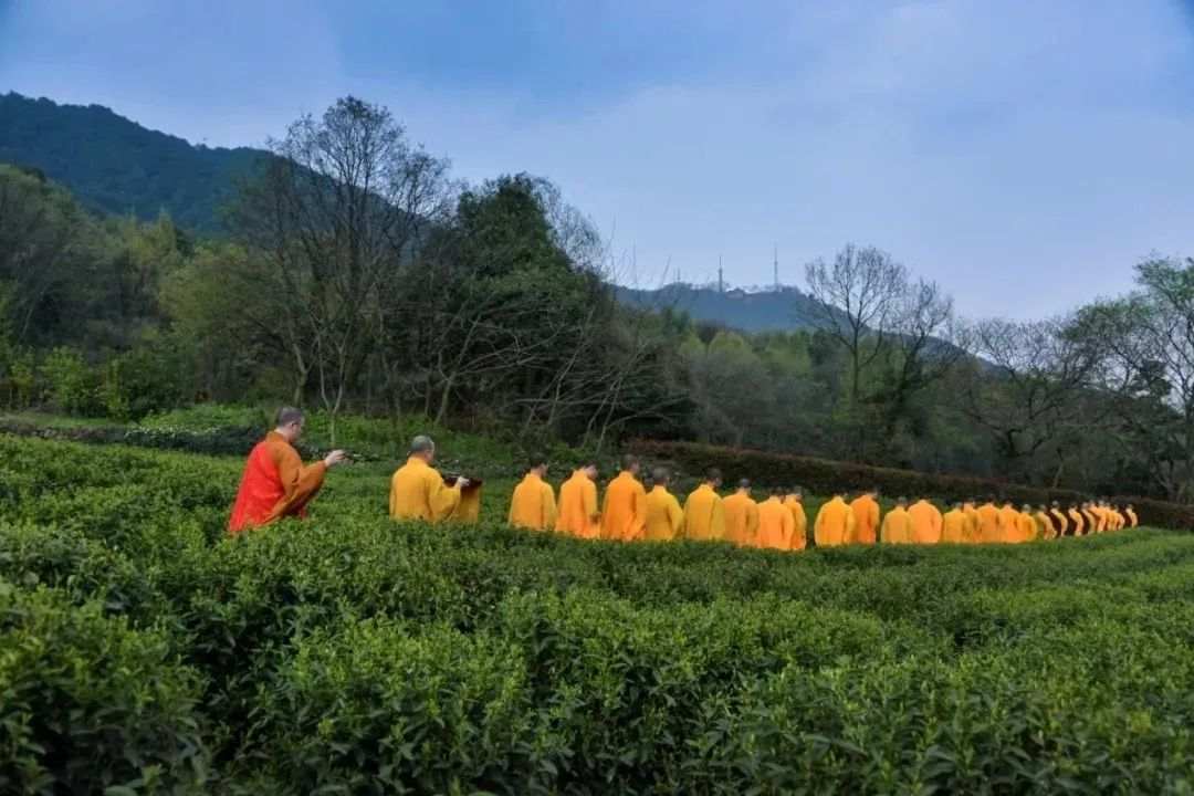 禅师一席话，听后开悟，点醒无数修行人！