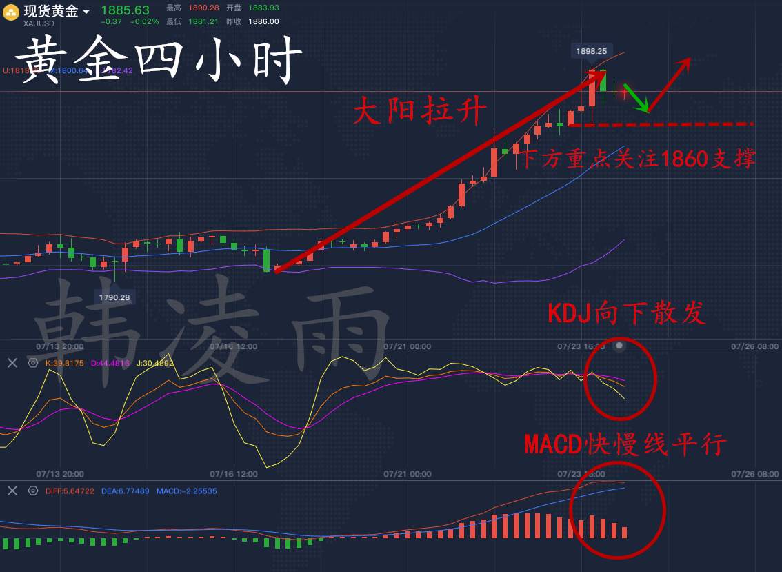 韩凌雨：7.24黄金千九还是门槛吗？中长线布局本周上涨已百点
