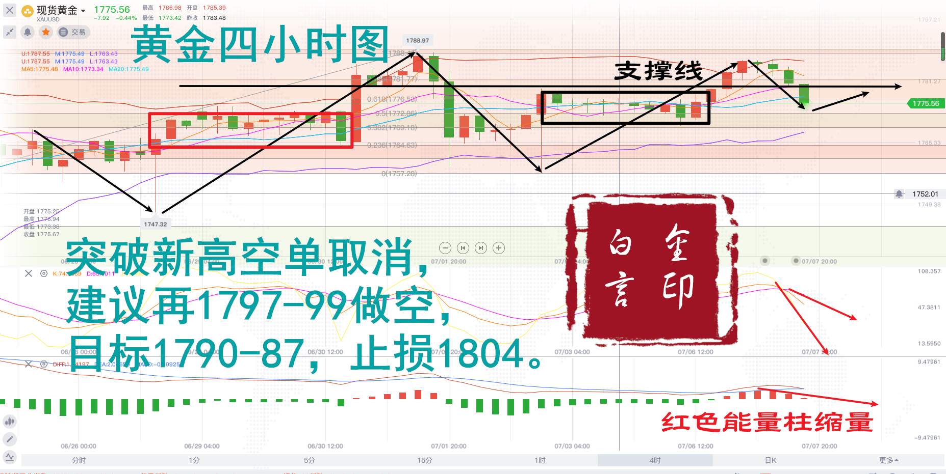 白言金：黄金看涨不变，高位回落必将反弹！