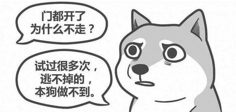 德浩点金：交易中如何克服“习得性无助”？拒绝做低头的“鸵鸟”