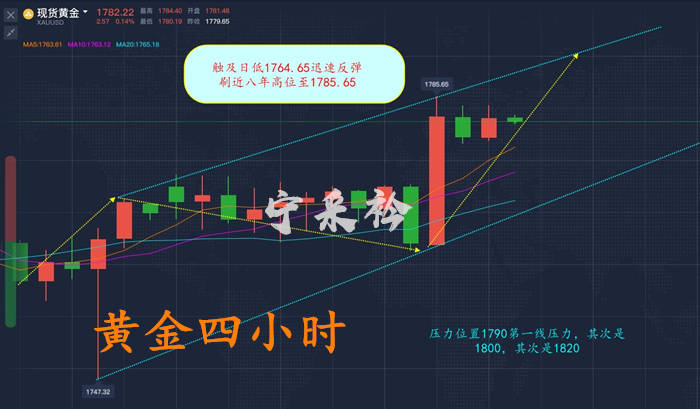 宁采衿：一夜空仓全爆，1800本周目标！还不多等着别墅换茅屋？