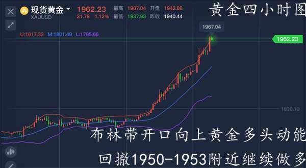 单晨金：黄金暴涨继续、空单还在等回调？割肉回本请找我！