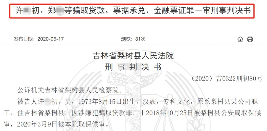 一座东北小县城,5.8亿"惊天骗贷"案!背后藏着一个"大秘密"…