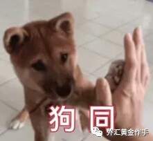 外汇黄金作手 盘面涨跌的底层逻辑4-外汇市场有庄家吗2？