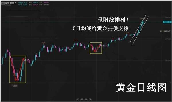 成梦轩：7.28小心！黄金还有一爆跌？午间如何操作？附暴跌原因！