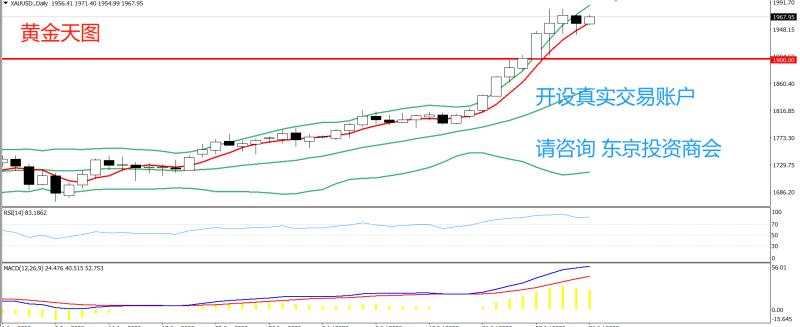 2020年07月31日 今日汇评