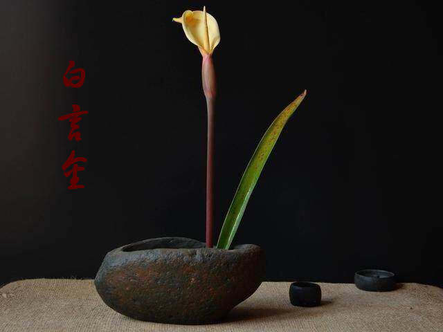白言金：破解期货操盘的10大通病，让你迅速翻番暴富！