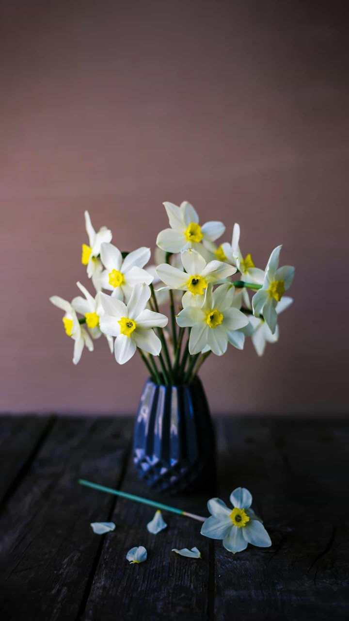 feed image