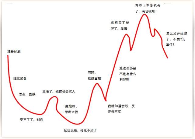 散户真的能在牛市赚到钱吗？
