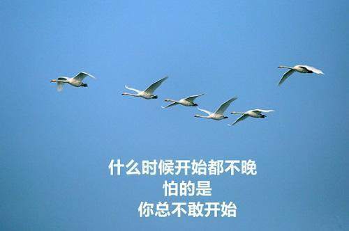 司文逸：期货、股票三大假设理论之价格呈趋势及形态变化