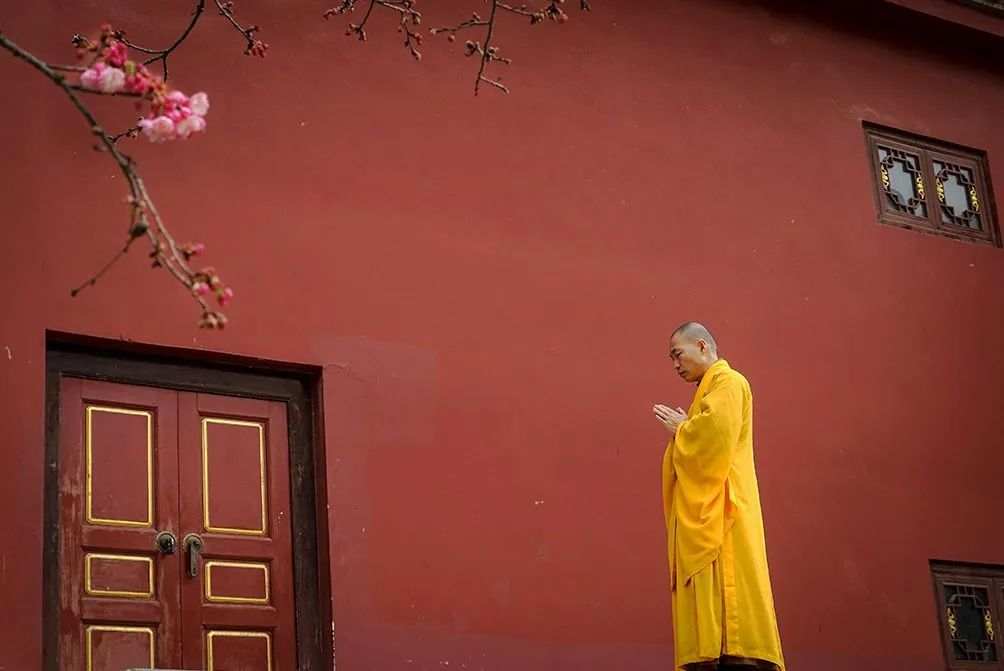禅师一席话，听后开悟，点醒无数修行人！
