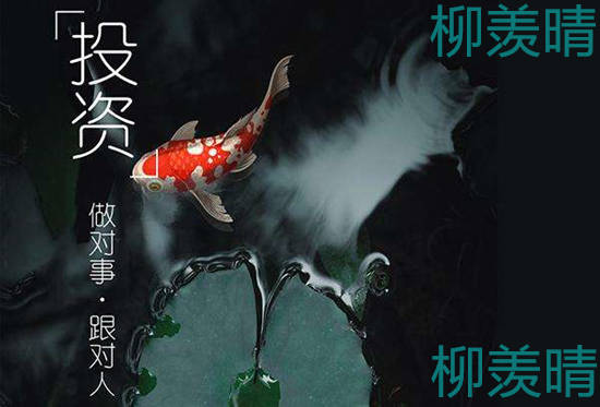 柳羡晴：黄金投资亏损严重别灰心，重振旗鼓羡晴带你赚回来