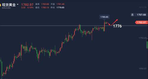 童溢金：黄金终破新高！1800大关不再遥远，早盘继续追多！