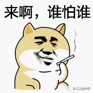 外汇黄金作手 盘面涨跌的底层逻辑4-外汇市场有庄家吗2？