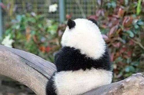 关于交易系统优化的一个提示