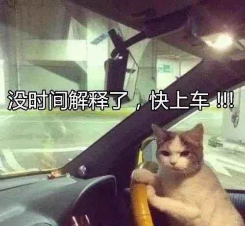 听说“FOLLOWME精选”公众号可以免费领FCOIN+电子期刊?