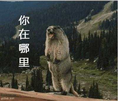 外汇黄金作手 支撑压力1-空单减少型支撑