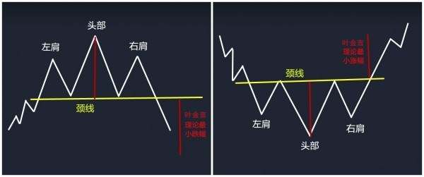 feed-image-1