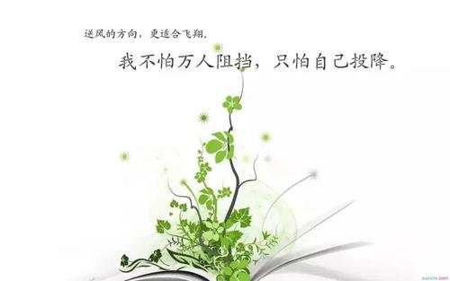 李瑜菲：为什么被套的总是你？我想你应该这么做！