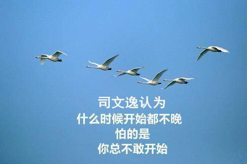 司文逸：黄金投资大改革！低风险和高收益不是梦！