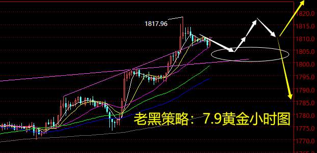 老黑策略：7.9外汇分析策略