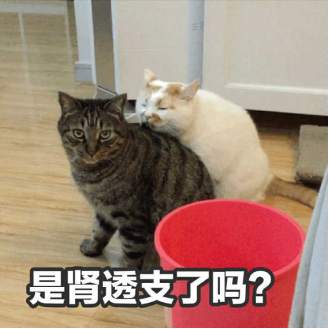 外汇黄金作手 盘面涨跌的底层逻辑6-盘面暴涨和小涨的驱动因素