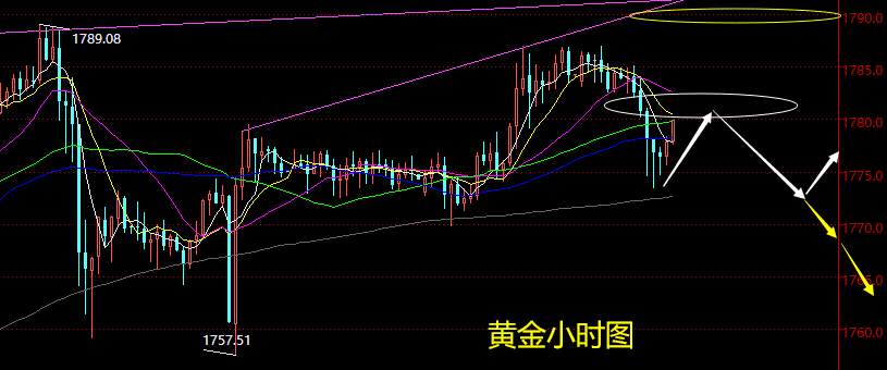 老黑策略：7.7晚盘外汇、黄金、原油分析策略