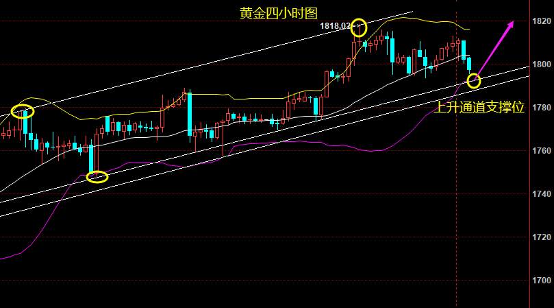 苏雪姗：7.14黄金反弹无力，晚间继续做空