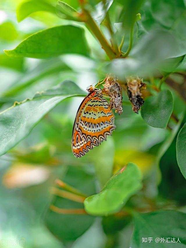 外汇交易3年，本金从5万到5K：不懂得突破这3点，只会是爆仓离场