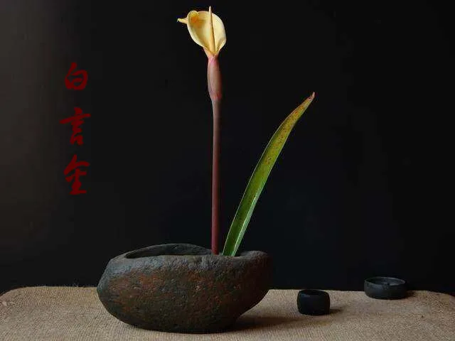 白言金：期货交易理念精华，全都是干货！