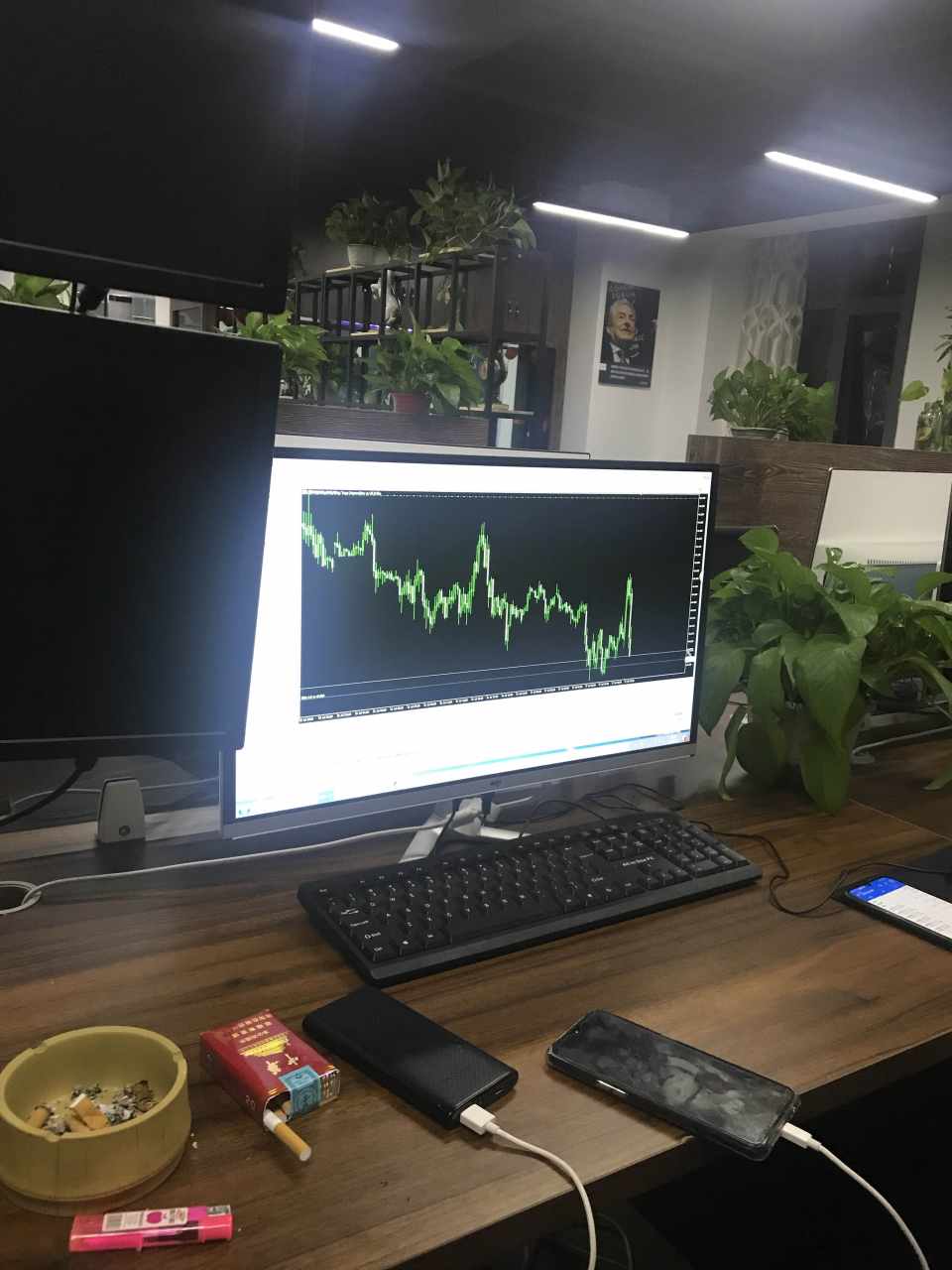 feed image