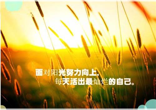叶金言：投资黄金有过有这样的想法，必定会亏损！