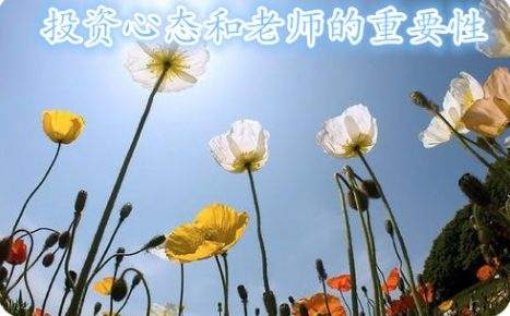 慕有轶：【新手必看】投资黄金白银被套单了不知所措？