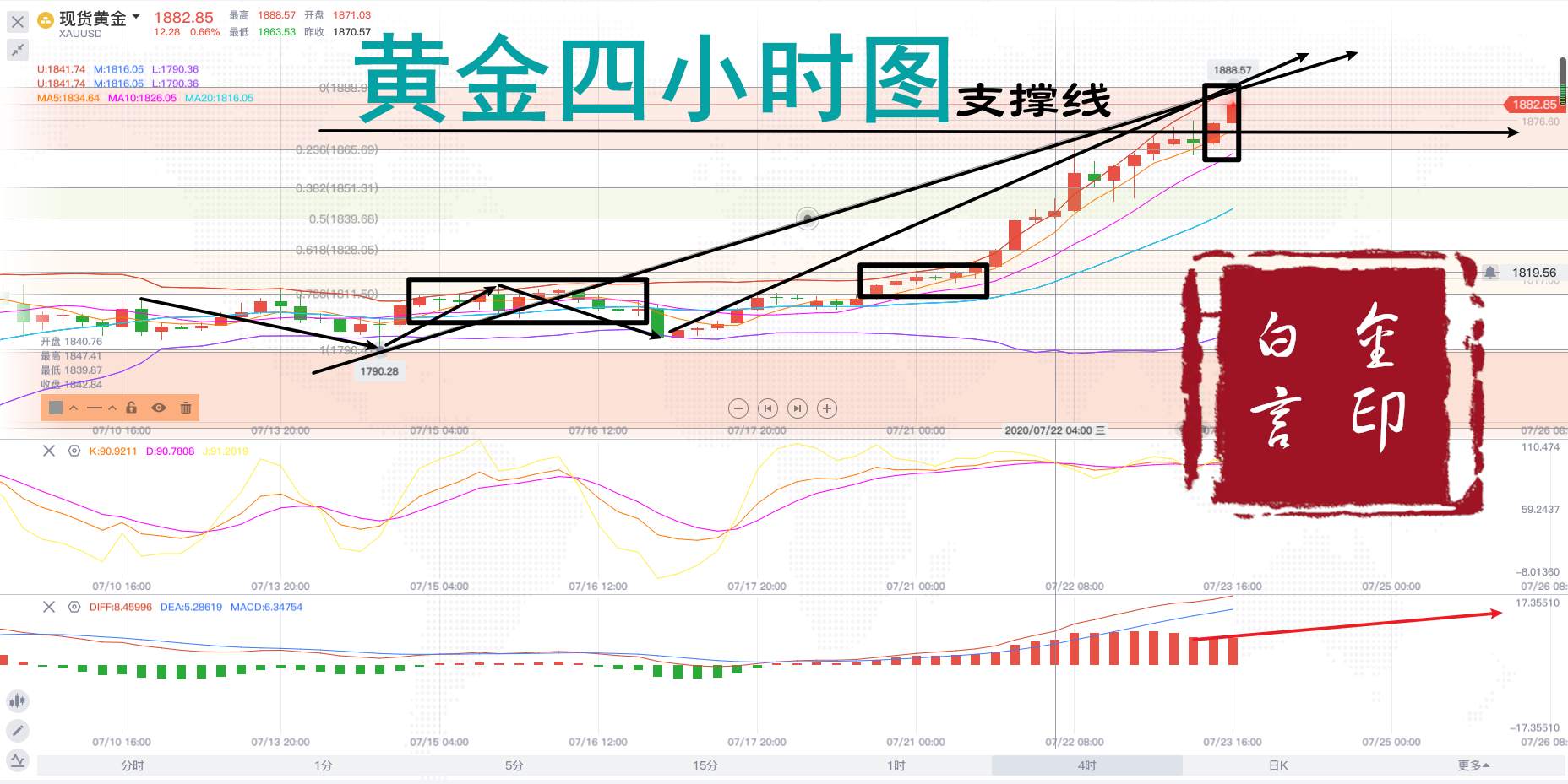 白言金：不要再问空不空，黄金没有顶！空单必死！