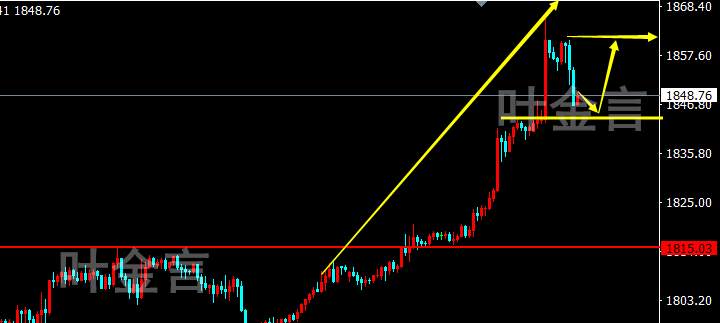 feed-image-1