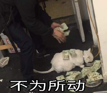 被嫌弃的金融人的一生，现实！