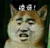 外汇黄金作手 历史上市值最高的公司-韭菜收割机