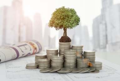 卢秋悦：投资纸黄金你赚了吗？