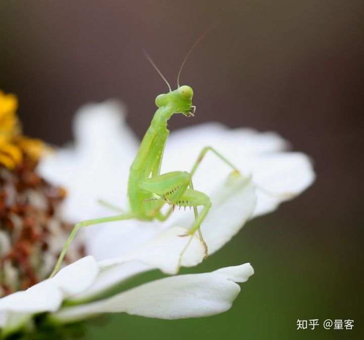 资金管理体系（你还在坑里么）