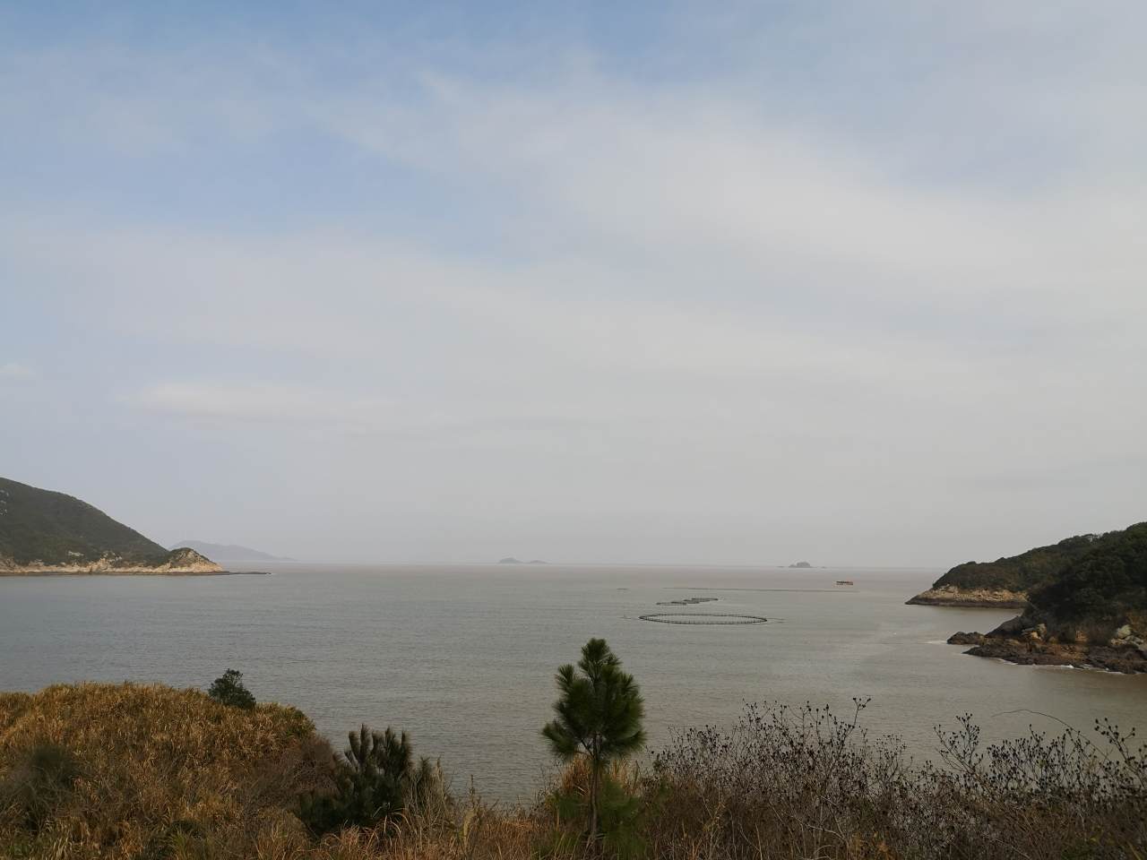feed image
