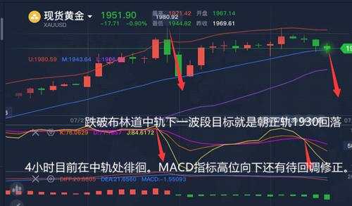 舒鑫欢：双顶是否形成看44关键位，黄金还会跌吗？晚间走势分析