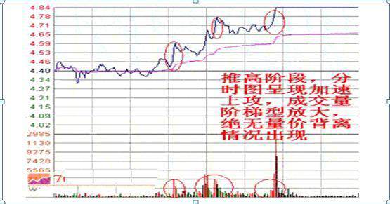 冉茗玉：散户专用选股法，3种维度选出涨停个股！助你赢在投资起跑线